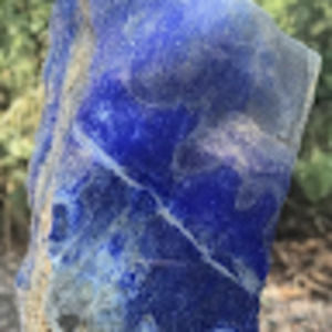 Meet your Posher, Tamara